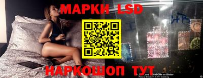 гашик Волжский