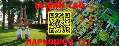 гашик Волжский