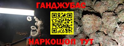 гашик Волжский